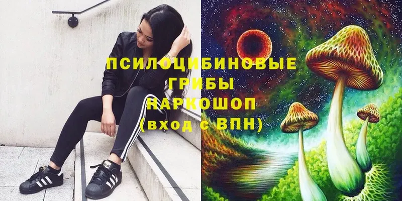 Псилоцибиновые грибы Magic Shrooms  блэк спрут   Алексеевка 